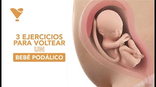 3 EJERCICIOS PARA VOLTEAR A UN BEBÉ PODÁLICO  EJERCICIOS PARA EL PARTO NATURAL 🤰🏻 [upl. by Farris]