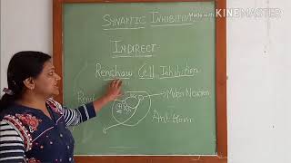 Physiology of synaptic inhibition [upl. by Lamrej314]