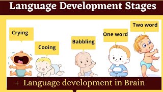 language development stages in childhood  babbling cooing [upl. by Arihas]