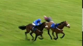 Horseracing thrills amp spills compilation [upl. by Ynnelg913]