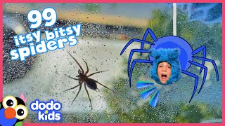 Woman Who’s Afraid Of Spiders Has To Become A Spider Rescuer  Dodo Kids  Rescued [upl. by Rihsab]