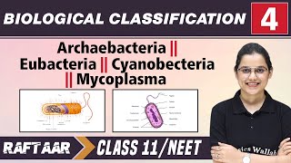 Biological Classification 04  Archaebacteria l Eubacteria l Mycoplasma l Class 11NEET  RAFTAAR [upl. by Junko546]