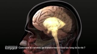 La transformation du cerveau au fil de la vie [upl. by Carolan]