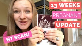 13 Week Pregnancy Update  NT Scan Results [upl. by Eldreeda286]