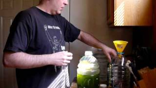 How to grow live marine phytoplankton [upl. by Fleming490]