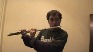 JSBachBeatbox FluteGreg Pattillo [upl. by Ettezyl]