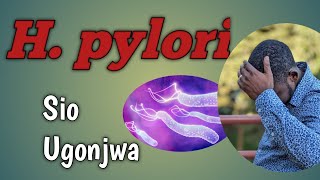 H pylori ni KITU GANI SWAHILI SBK [upl. by Releyks]