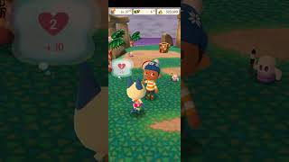 Animal crossingPocket Camp video53 [upl. by Aryas]