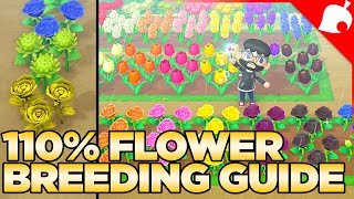 The FULL Flower Breeding Guide for Animal Crossing New Horizons [upl. by Richer]