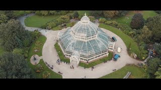 Weddings at the Palm House [upl. by Einre374]