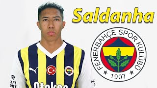 Matheus Saldanha ● Fenerbahce Transfer Target 🟡🔵🇧🇷 Best Goals amp Skills [upl. by Ellerrehc]