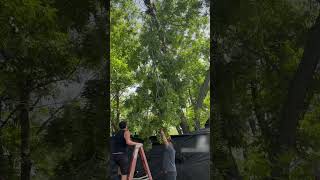 Large Tree Branch Breaks and Falls as Father and Son Hang From it  1511544 [upl. by Dhruv]