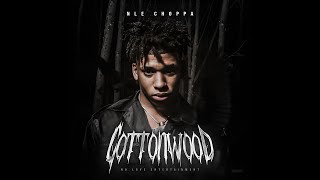 NLE Choppa  Untold Official Audio [upl. by Oirretno498]