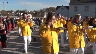 Pat Carnaval 2015 de Bastogne  Cortège du dimanche  Gédiwi Alain 1er [upl. by Chic]