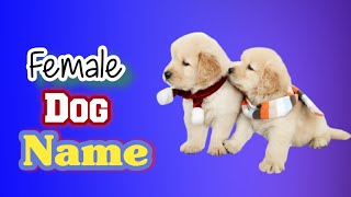 Top Unique Female Dog Name  80 name for Dog Girls [upl. by Novit745]