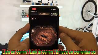 The Ants Underground Kingdom Hack MOD APK FREE Diamonds and Coins [upl. by Essilec]