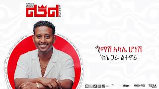 Leul Sisay  የኔ አመል Yene Amel Track 02 Official Audio [upl. by Eibrik505]