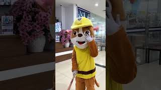 Trolling Paw Patrol In Real Life shorts [upl. by Anyek]