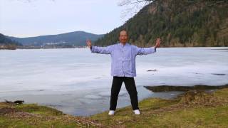 Les 18 mouvements du Tai Ji Qi Gong [upl. by Hindorff303]