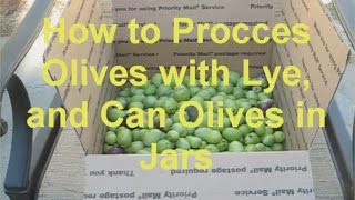 How to Process Olives with Lye and Can Olives in Jars [upl. by Refiffej643]