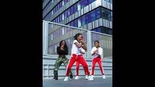 Flavour  Berna feat Fally Ipupa amp Diamond Platnumz  Dance Choreography [upl. by Lustig99]