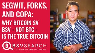 SegWit Forks and COPA Why Bitcoin SV BSV not BTC is the true Bitcoin [upl. by Nahtnoj315]