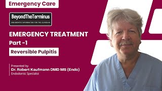 Emergency Treatment Part 1  Reversible Pulpitis  Robert Kaufmann DMD MSEndo [upl. by Hairabez]