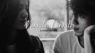 Ninnila Slowed  reverb THOLI PREMA [upl. by Biancha]