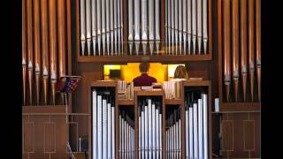 G Bélier Toccata in D  Benefietconcert Bethelkerk Barneveld [upl. by Hayikaz702]