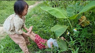 landslide tree fell near the house sister picked fruit to sell bodonthan123 [upl. by Alius199]