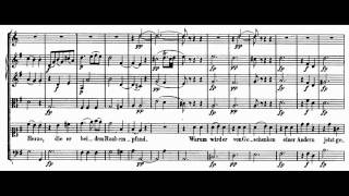 Mozart  Bastien und Bastienne 5  Aria Wenn mein Bastien einst im Scherze [upl. by Florida]