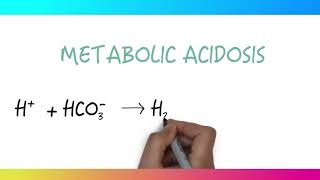 Metabolic Acidosis 20 [upl. by Safir]