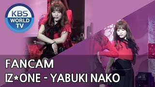 FOCUSEDIZONEs YABUKI NAKO  La Vie en Rose Music Bank  20181102 [upl. by Madelle]