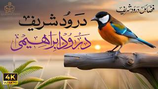 Best Darood Sharif Recitation 4K Durood e Ibrahim Durood Shareef Durood Sharif Beautiful Voice [upl. by Wertheimer]