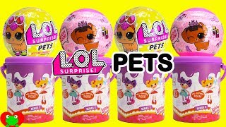 LOL Surprise Pets and Lalaloopsy Mini Dolls [upl. by Vevay]