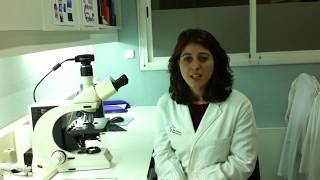 Immunofluorescence protocol for human intestinal biopsie ESNM Teaching Video [upl. by Adla]