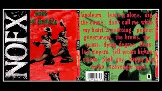 NOFX  Punk in Drublic  FULL ALBUM [upl. by Gazo]