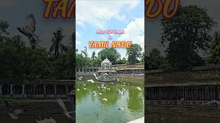 Must Visit Temples in Tamil Nadu travel tamilnadu temple ashortaday youtubeshorts [upl. by Esidnac]