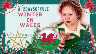 Cardiff at Christmas Fairy Lights and Homelessness 🏠 DAY 7 12daysofyule [upl. by Naxela]