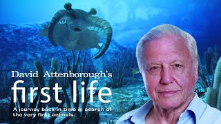 First Life with David Attenborough  Ep 1 Arrival 2010 [upl. by Hakan]