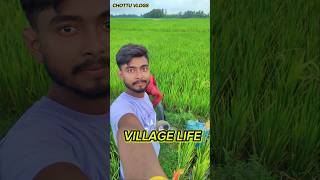 Village Life ❤️‍🩹🥺 CHOTTUVLOGS9 minivlog vlogs bangalivlog [upl. by Lambart]