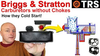 Carburetor Cold Start without Choke  4Stroke Carburetor  Briggs amp Stratton Lawnmower [upl. by Enaols]