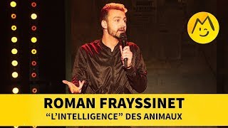 Roman Frayssinet  quotLintelligencequot des animaux [upl. by Chaves]