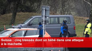 Suisse  cinq blessés dont un bébé dans une attaque à la machette [upl. by Willock779]