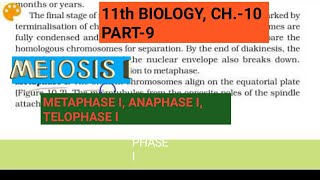 Class 11 biology Ch10Part9Meiosis I Metaphase Ianaphase ITelophase IStudy with Farru [upl. by Gadmann]