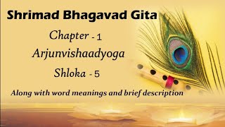 Srimad Bhagavad Gita Chapter 1 Sloka 5 l Bhagwat Geeta Saar l Gita Upadesh l Krishna motivational [upl. by Neiluj]