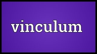 Vinculum Meaning [upl. by Eicyac815]