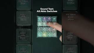 Sound Test  All Akko Switches [upl. by Coridon461]