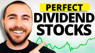 20 PERFECT Dividend Stocks For BRAND NEW Investors [upl. by Aleacem]