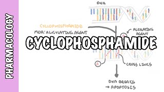 Cyclophosphamide  pharmacology mechanism of action adverse effects [upl. by Neimad]